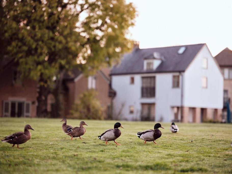 Castleford Cottage , Lowermill Estate Somerford Keynes Exterior foto